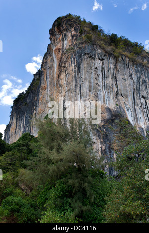Rock Formation on the west Railay Beach in the Krabi Province, Thailand Stock Photo