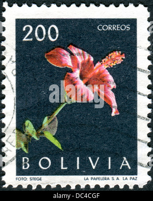 BOLIVIA - CIRCA 1962: Postage stamps printed in Bolivia, shows a plant Hibiscus rosa-sinensis, circa 1962 Stock Photo