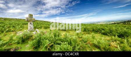 An old granite cross on Bodmin Moor in Cornwall Stock Photo