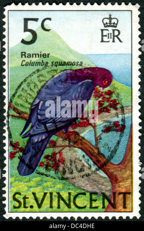 A postage stamp printed in Saint Vincent, shows a bird Scaly-naped Pigeon (Columba squamosa) Stock Photo