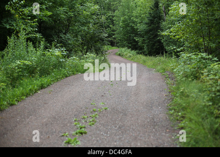 A narrow winding dirt road in the woods. Stock Photo