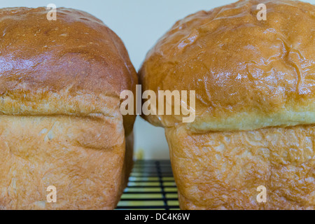Freshly baked bread cools on cooling racks at the Irish Loop Coffee House in Witless Bay, Newfoundland. Stock Photo