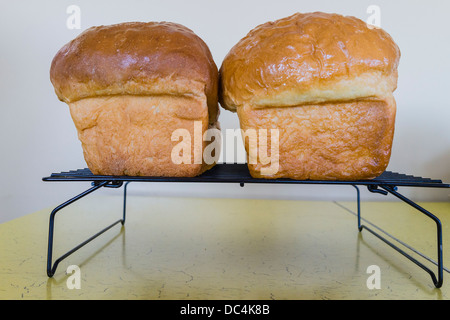 Freshly baked bread cools on cooling racks at the Irish Loop Coffee House in Witless Bay, Newfoundland. Stock Photo