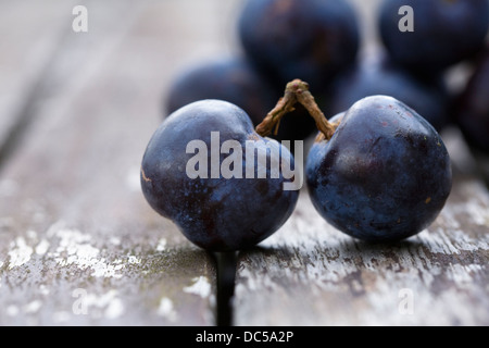 Prunus domestica.Two quetsche plums on an old wooden table. Stock Photo