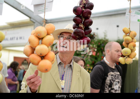 Shrewsbury Flower Show Uk 9th August 2013. A man who knows his onions check out the prize wnning exhibits Credit:  David Bagnall Stock Photo