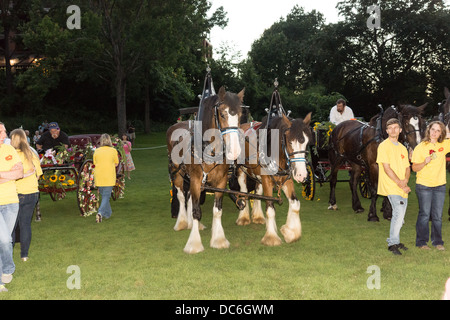 August 2, 2013, Saratoga Springs, NY. Horse drawn wagons in the 'Floral Fete Promenade,' a traditional parade. Stock Photo