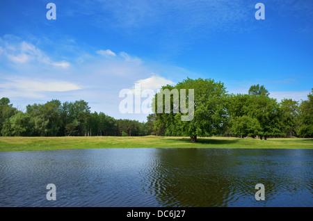 Lake shore under blue cloudy sky Stock Photo - Alamy