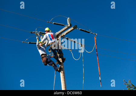 Electric utility linemen climb poles to make repairs during the annual ...