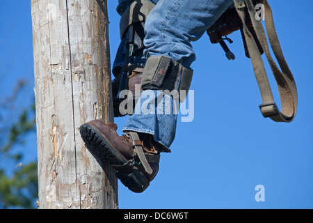 Linesman climbing pole Stock Photo - Alamy