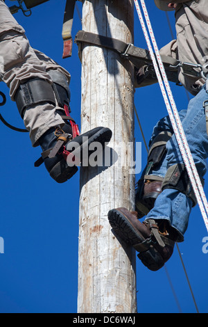 Electric utility linemen climb poles to make repairs during the annual ...