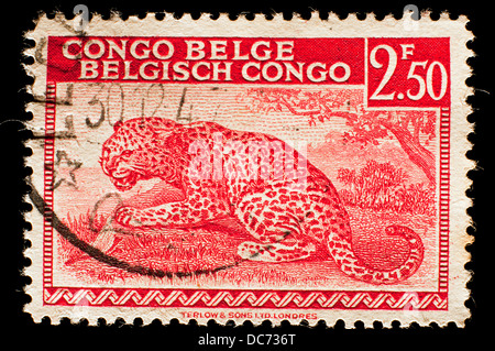 old Belgian Congo postage stamp Stock Photo