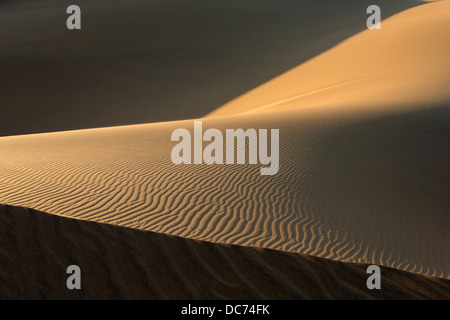Sand dunes near Swakopmund, Dorob national park, Namibia, April 2013
