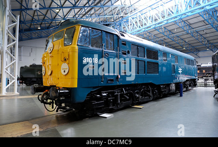 British Railways Type 2 diesel locomotive D5500 later Class 31, 31018 inside the Great Hall at the National Railway museum York Stock Photo