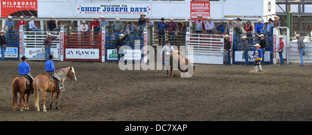 Youth bull riding event at the Chief Joseph Days Rodeo in Joseph, Oregon. Stock Photo