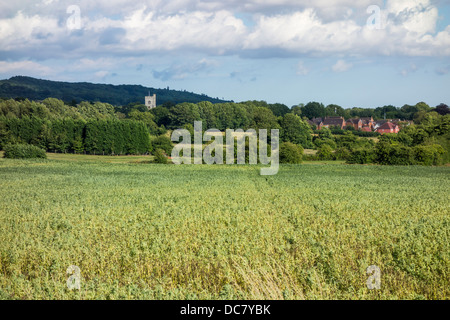 The North Downs Kent Countryside at Charing Stock Photo