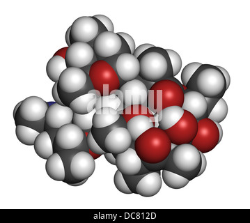 Erythromycin antibiotic drug (macrolide class), chemical structure Atoms are represented as spheres with conventional color code Stock Photo