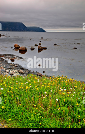 Rocky Harbour, Gros Morne National Park, UNESCO World Heritage Site, Newfoundland Stock Photo