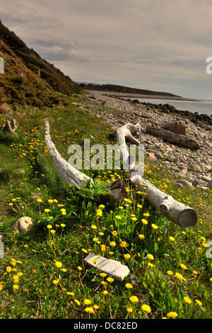 Beach at Green Point Camping, Gros Morne National Park, UNESCO World Heritage Site, Newfoundland Stock Photo