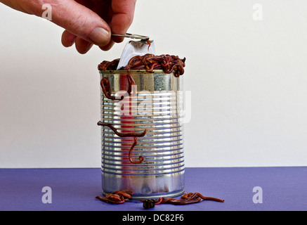 Opening a can of worms Stock Photo
