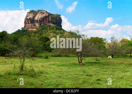 High rock under green forest. Sigiriya, Lion's rock with ancient rock fortress temple. Sri Lanka Stock Photo