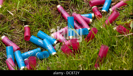 Fired 12 bore, or 12 gauge, shotgun cartridges laying on the grass littering the countryside Stock Photo