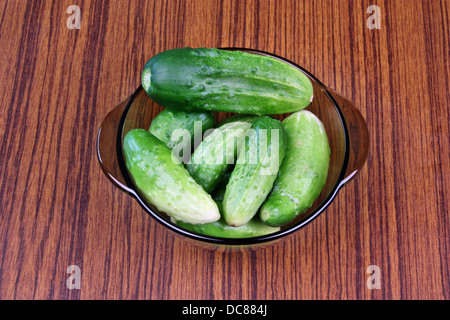 Young fresh cucumbers in a bowl for pickling vinegar Stock Photo