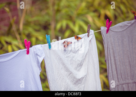 Butterflies on clothes line Stock Photo