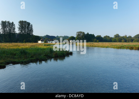 River Test at Chilbolton Cow Common. Hampshire. England. UK. Stock Photo