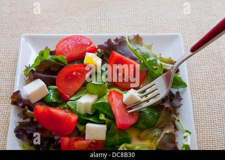 Salad with tomatoes, cottage cheese, lettuce and olive oil. Close view. Stock Photo