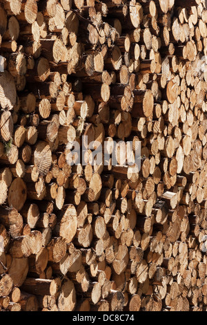 Stacked timber log ends Stock Photo - Alamy