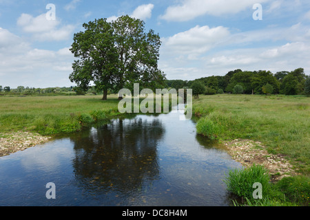 River Nene near Denford. Nene Valley. Northamptonshire. England. UK. Stock Photo