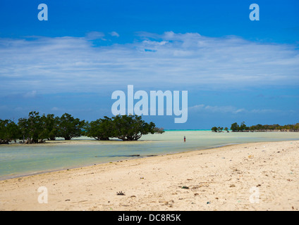 Sea And Mangrove, Quirimba Island, Mozambique Stock Photo