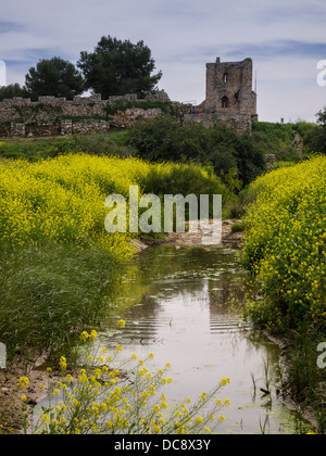 Israel. The ruins of an Ottoman fortress reflect in the Yarkon stream at the Afek park near Tel-Aviv Stock Photo