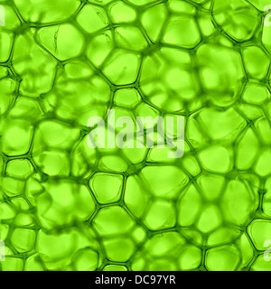 green background from the cells Stock Photo