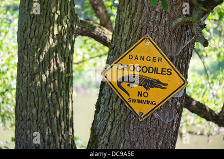 Warning sign 'Danger crocodiles No swimming' on a tree Stock Photo