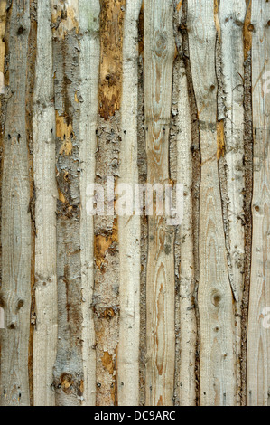 Wooden wall from old untreated grayed boards Stock Photo