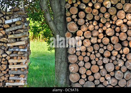 Stack of wooden logs, firewood Stock Photo
