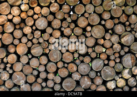Firewood Stack Storage Wood Materials Chopped Tree Rural Pile Stock ...