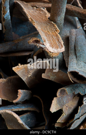 Cinnamon Stock Photo