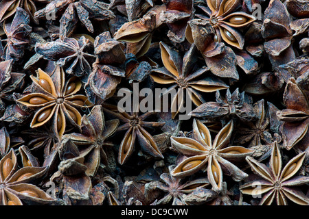 Star anise Stock Photo