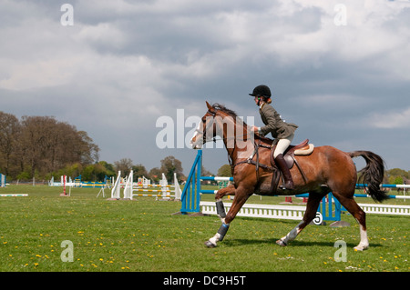 Young female rider during jumping competition at the Suffolk Horse Show. Ipswich Showgrounds, Suffolk, UK. Stock Photo