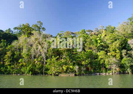 Guatemala, Rio Dulce National Park. Rio Dulce (Sweet River) runs from the Caribbean Sea inland to Lake Izabal. Stock Photo