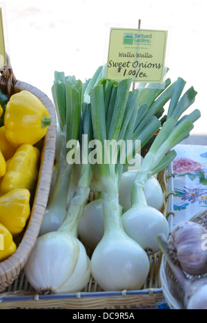 Onions, garlic and squash on display at a vendor,s booth at the Walllowa County Farmers Market, Oregon. Stock Photo