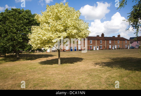 Historic buildings houses Mistley Essex England Stock Photo