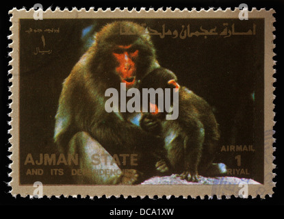 Stamp printed by Ajman shows monkeys, circa 1973 Stock Photo