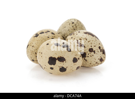 quail egg isolated on white background Stock Photo