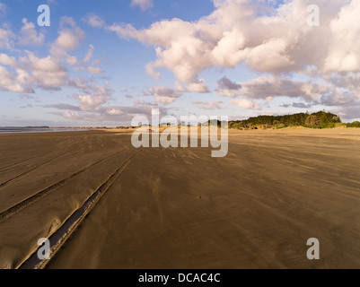 dh Ninety Mile Beach AHIPARA NEW ZEALAND Sand beach dunes red car tyre marks coastal road northland north island