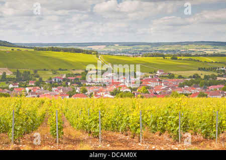 Champagne vineyards above the village of Baroville in the Cote des Bar area of Aube. Stock Photo