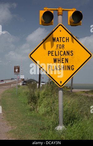 Pelican Warning Stock Photo