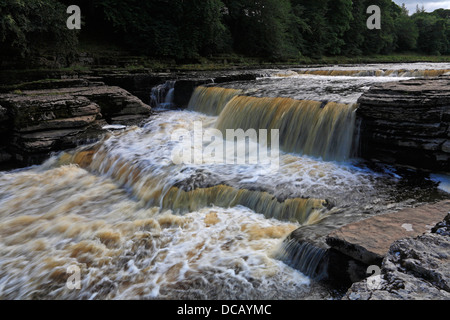 Aysgarth Lower Falls, Wensleydale, North Yorkshire, Yorkshire Dales National Park, England, UK. Stock Photo